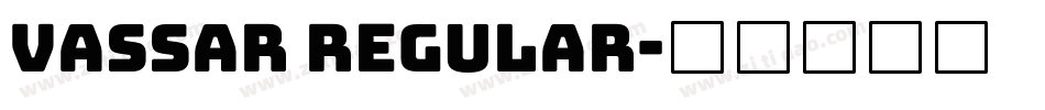 Vassar Regular字体转换